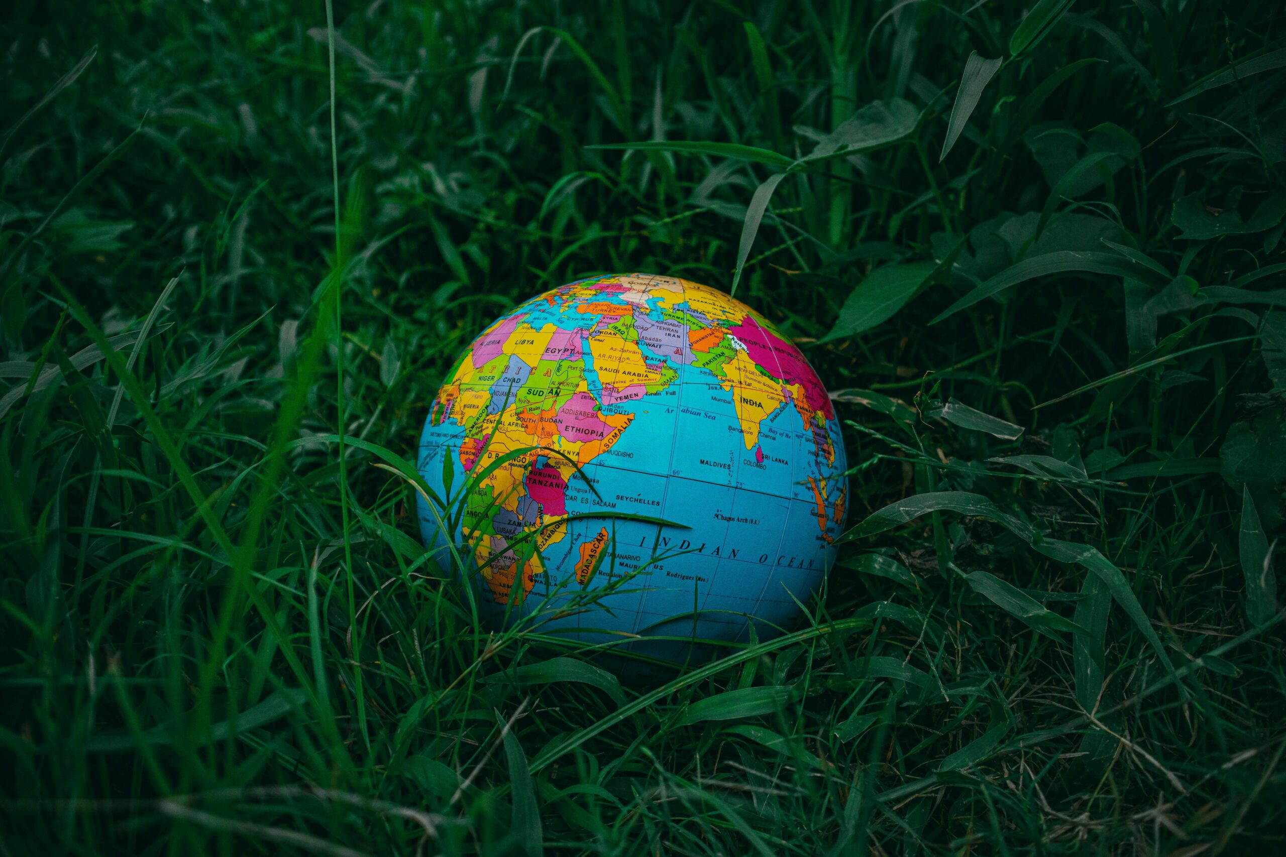 Vibrant world globe lying on lush green grass, symbolizing global exploration and nature.